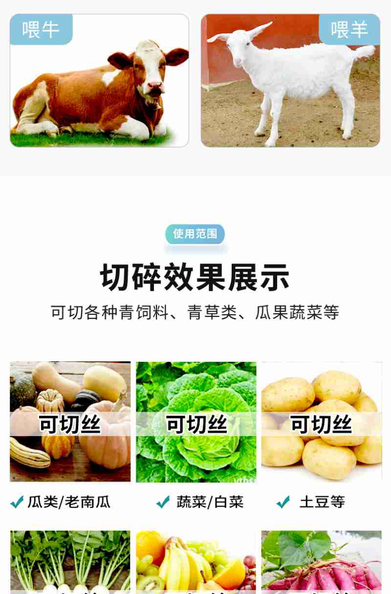 拍摄:韦贵金